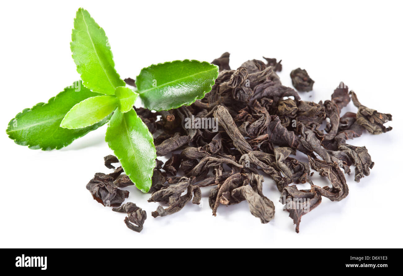 Foglie di tè verde immagini e fotografie stock ad alta risoluzione