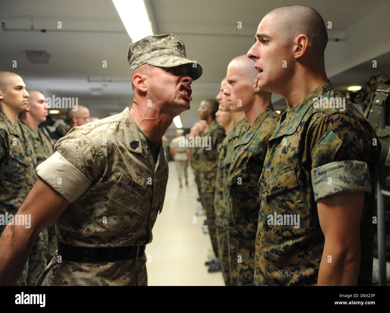 Un US Marine Corps trapanare istruttore urla a reclutare marino durante il boot camp a Marine Corps reclutare Depot Luglio 8, 2009 a San Diego, CA. Foto Stock