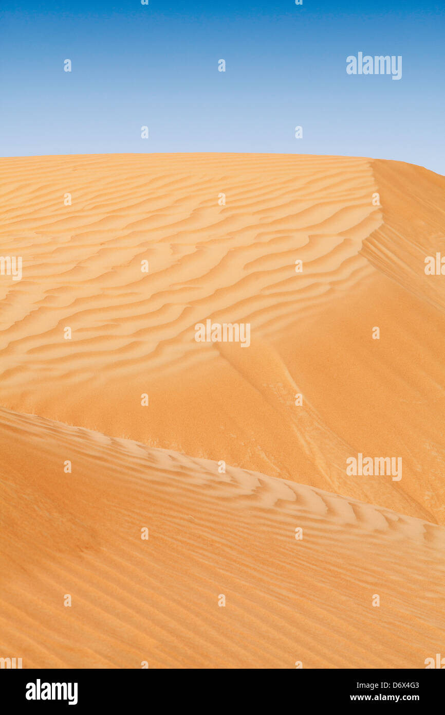 Bellissime dune di sabbia scenario in Emirati Arabi Uniti Foto Stock