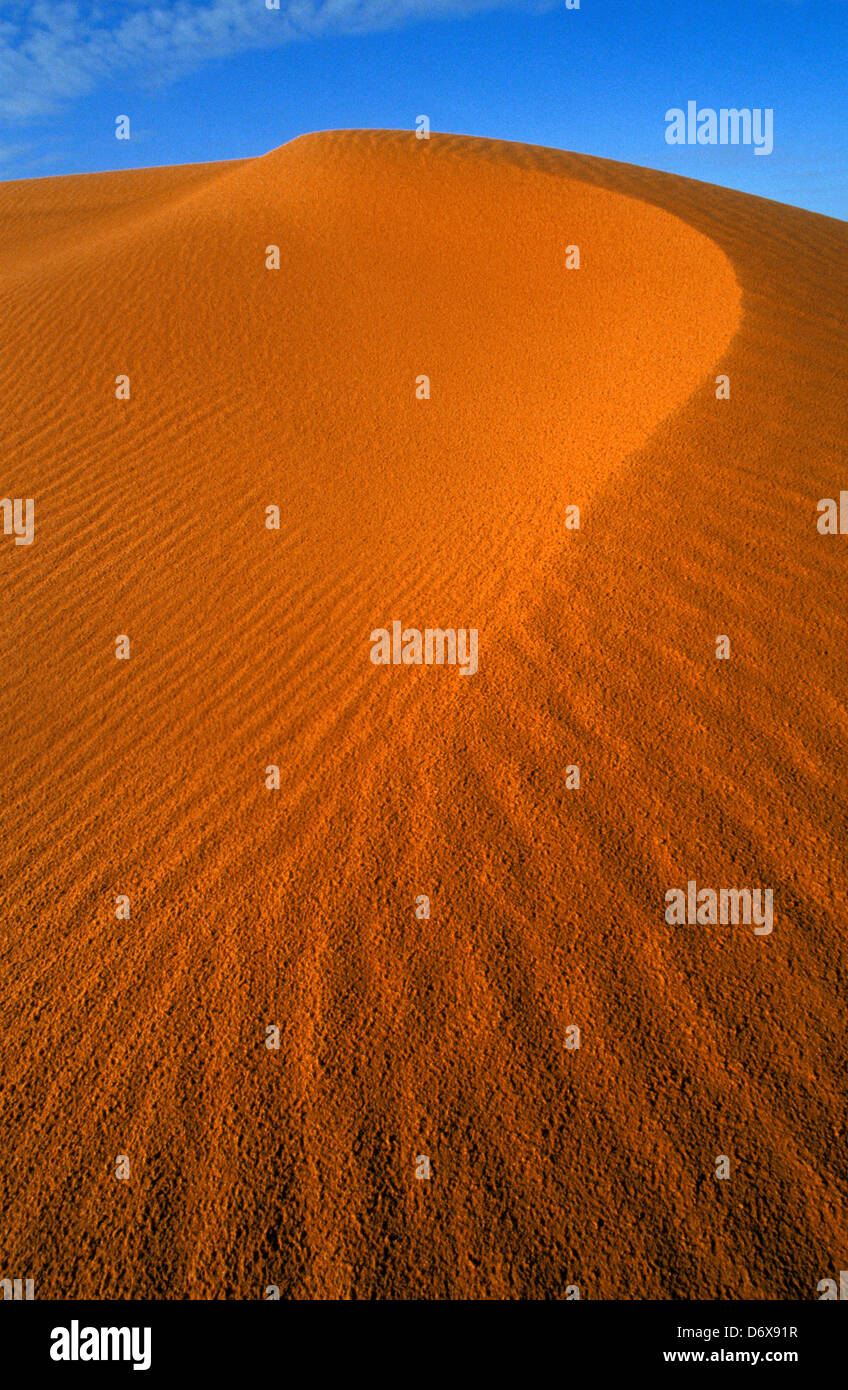 Le dune di sabbia a sunrise. Merzouga, deserto del Sahara .il Marocco. Foto Stock