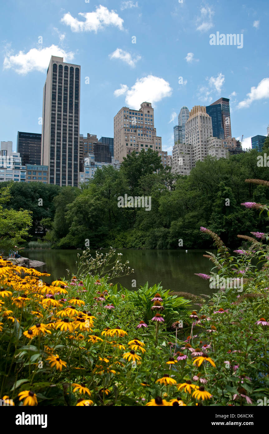 Fiori estivi che circonda il laghetto di Central Park di New York City STATI UNITI D'AMERICA Foto Stock