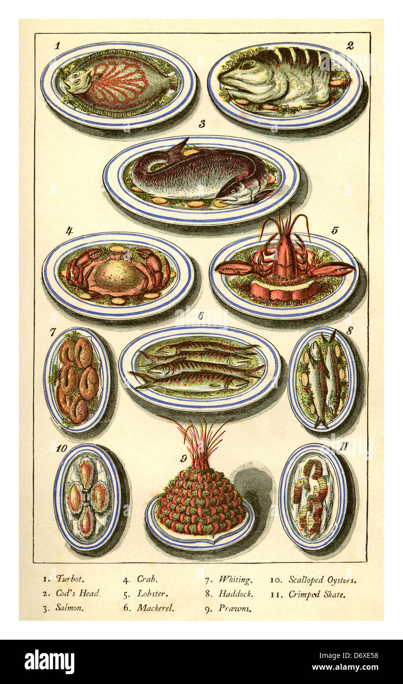 Warne del modello della cucina e il servizio di pulizie Prenota 1888 che illustra la varietà del Vittoriano esotici piatti a base di frutti di mare Foto Stock