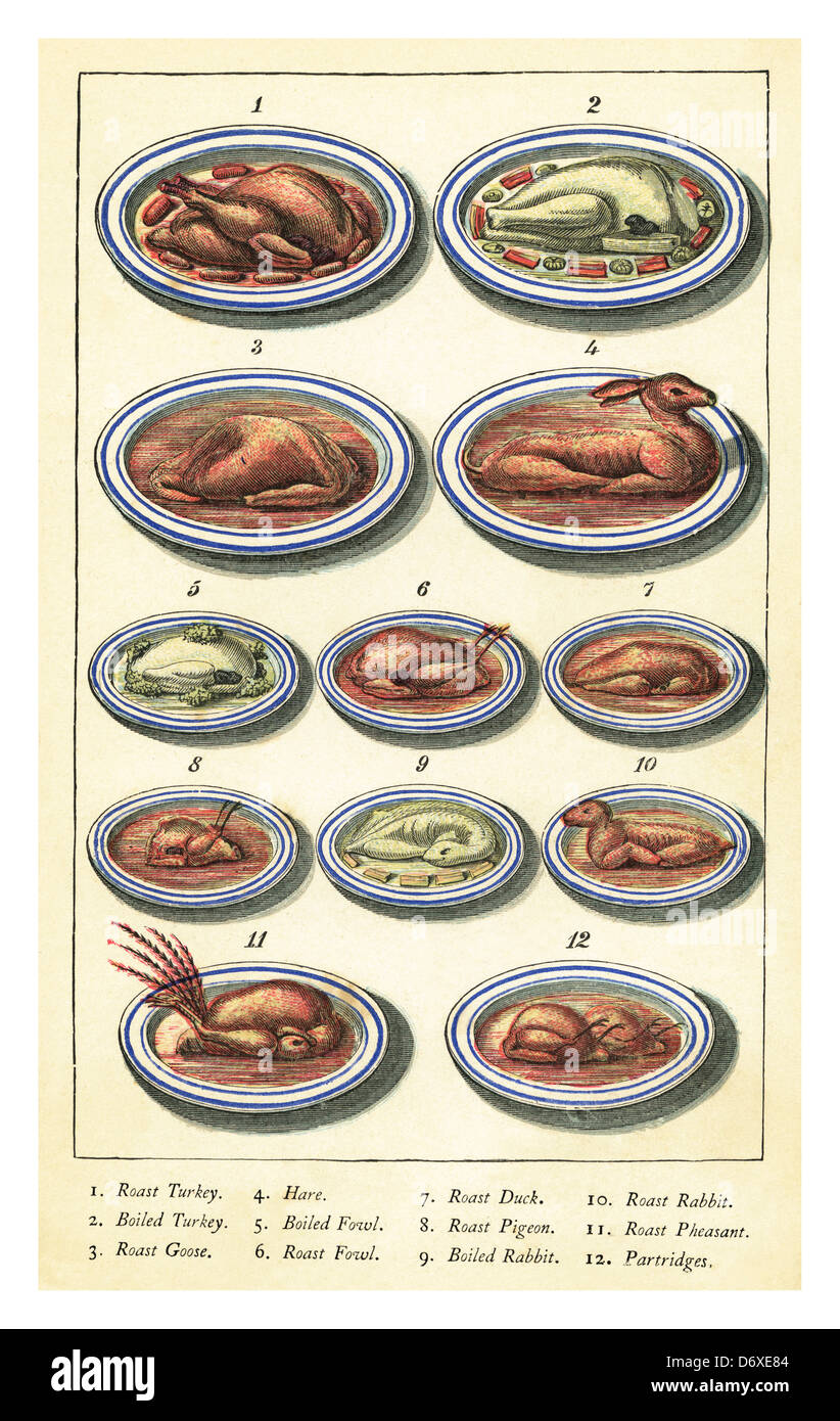 Warne del modello della cucina e il servizio di pulizie Prenota 1888 che illustra la varietà del Vittoriano esotici piatti di selvaggina Foto Stock