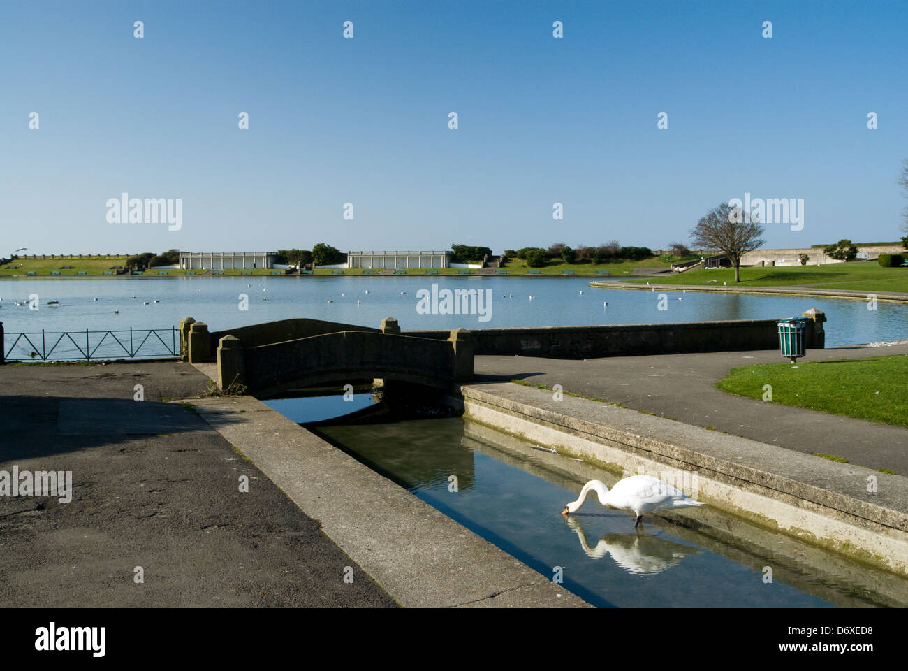 Lago e sul parco, freddo knap, Barry, Vale of Glamorgan, South wales, Regno Unito Foto Stock