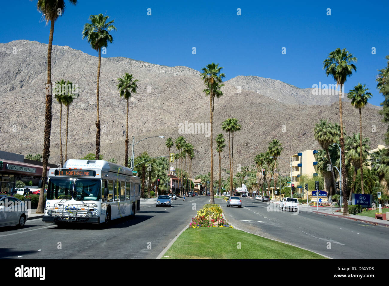 Palm viali alberati a Palm Springs, CA Foto Stock