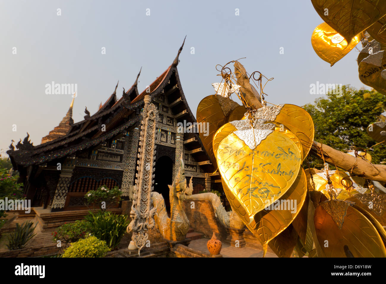 Oro foglia Pipal sul che intendono Bodhi Tree in Wat Lok Molee, Thailandia. Foto Stock