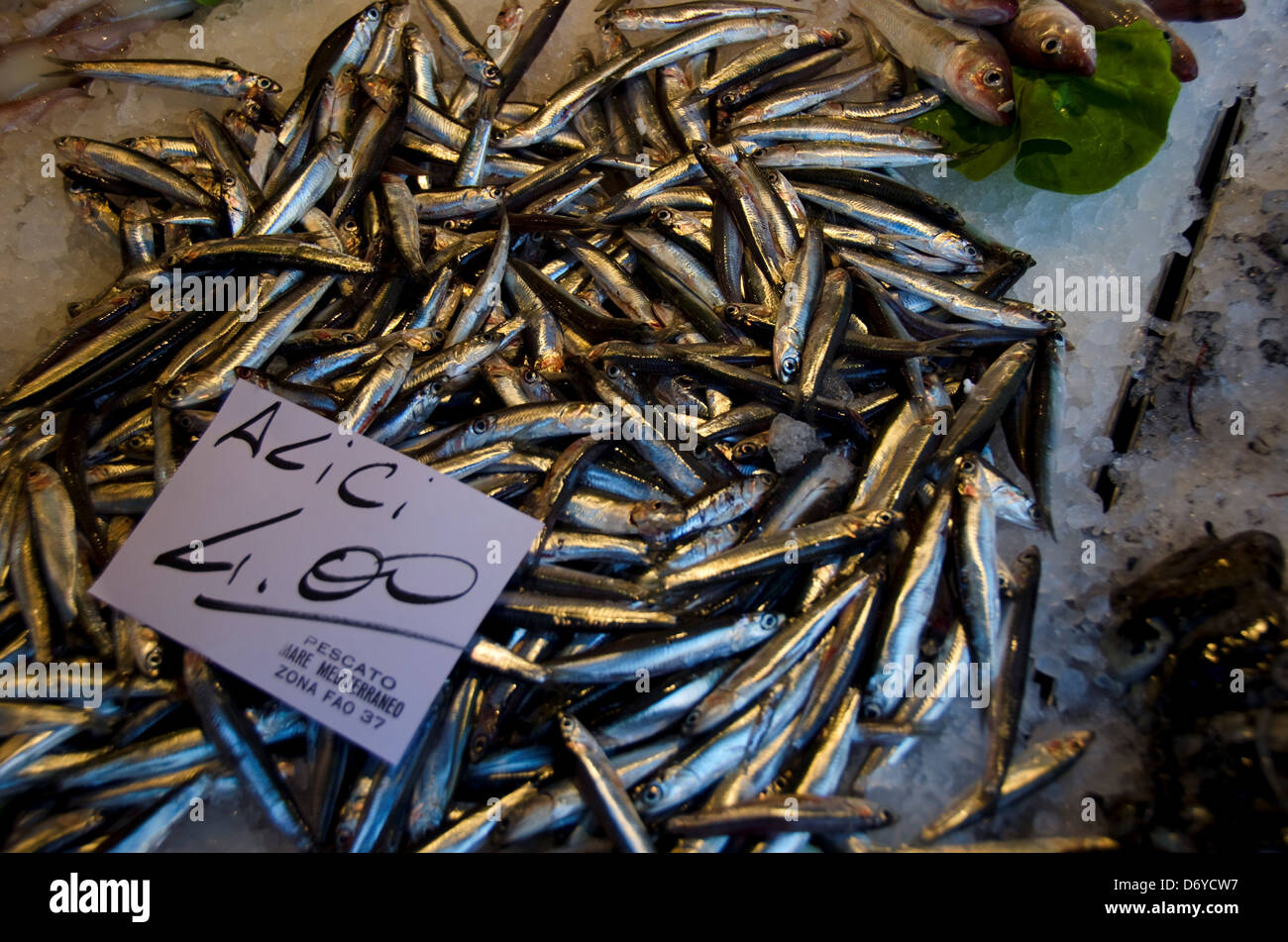 Acciughe fresche di pesce per la vendita su un mercato, Venezia, Veneto, Italia Foto Stock