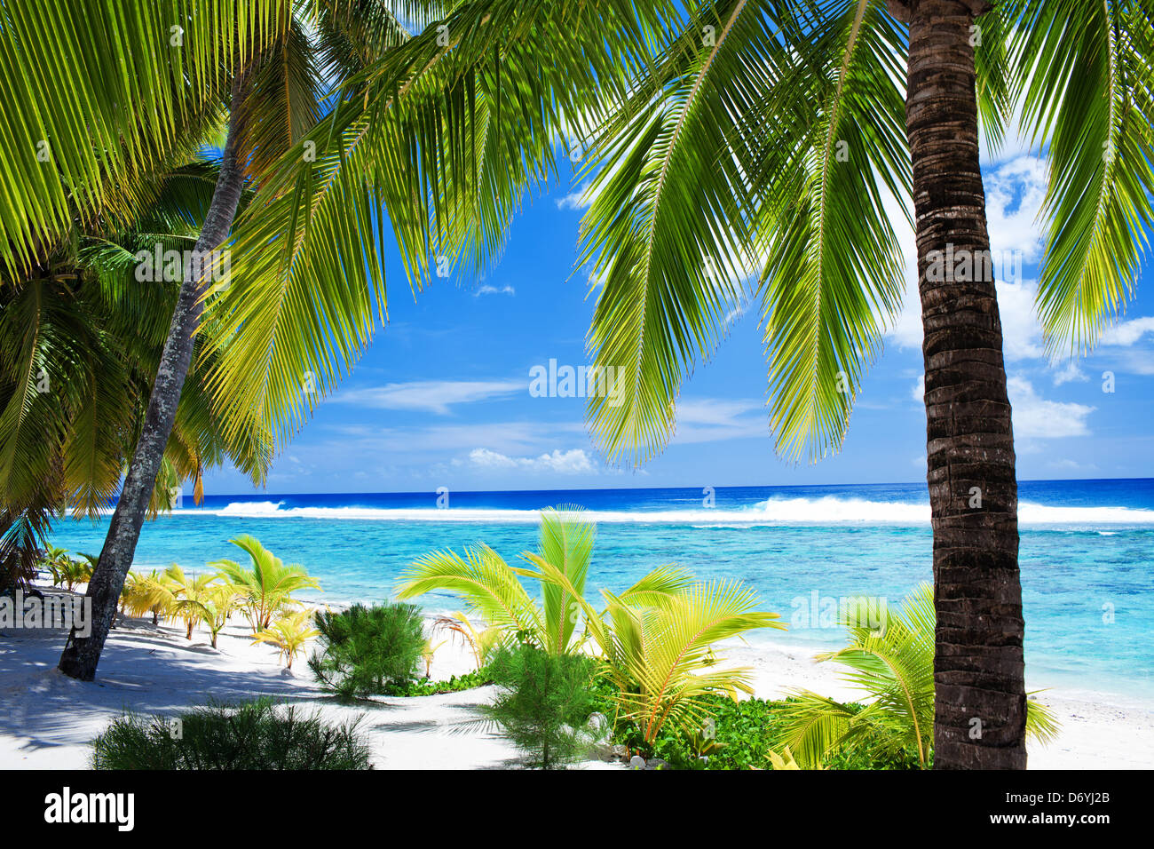 Le palme che si affaccia incredibile laguna blu e bianca spiaggia Foto Stock