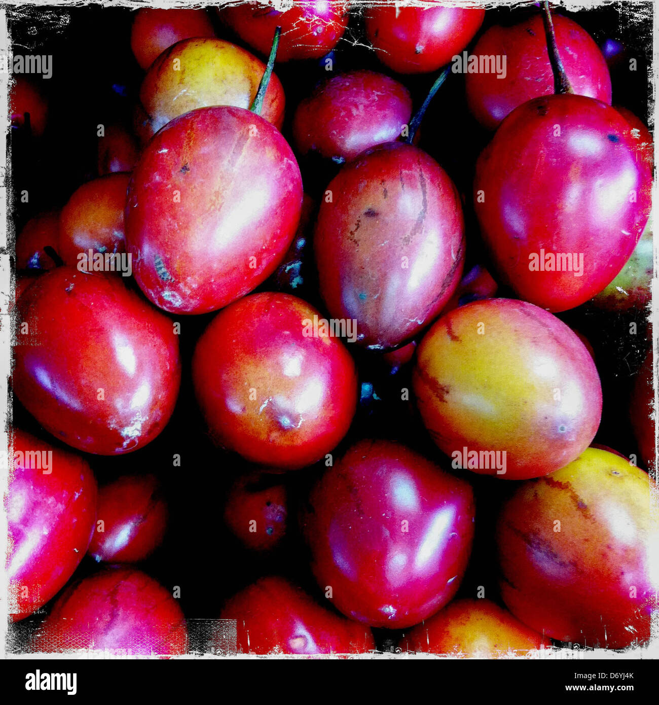 Chiusura del dado lulo - Immagine stock catturata con smartphone