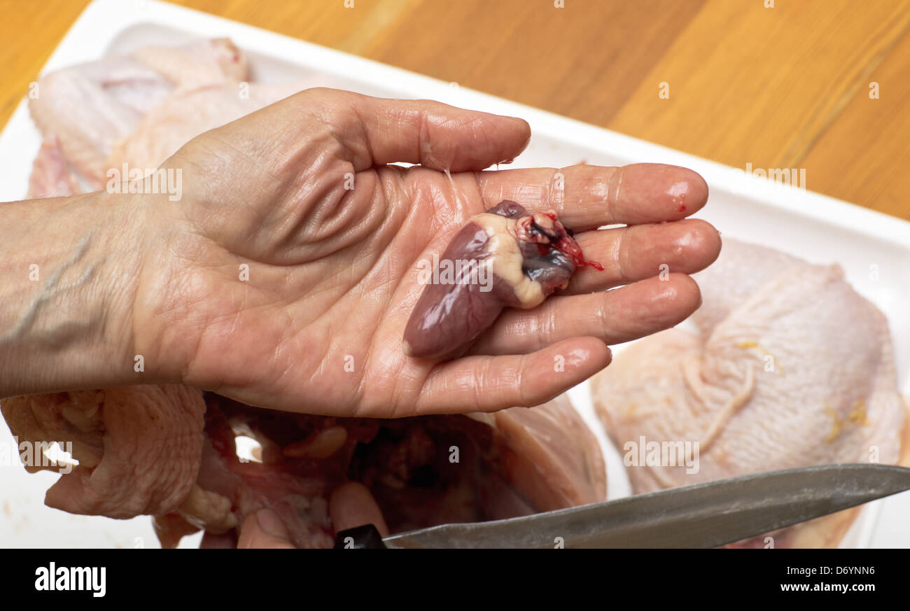 Il pollo crudo cuore in mano Foto Stock