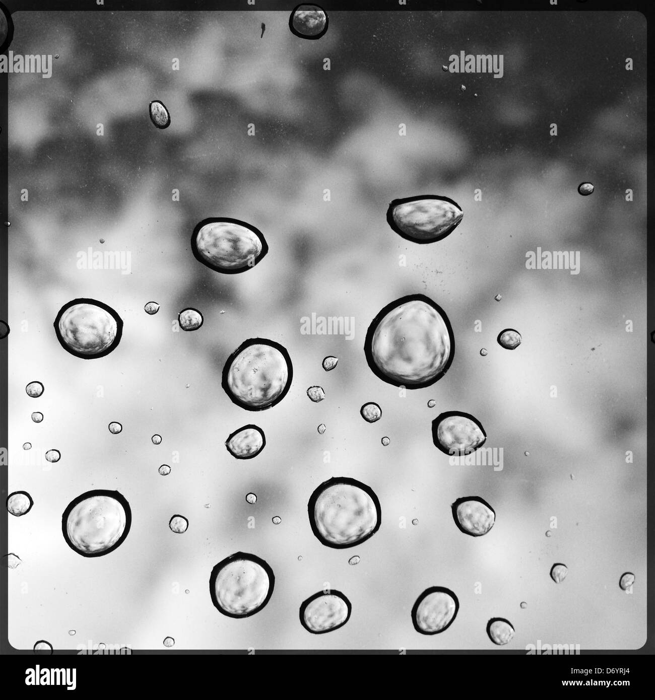 Close up di goccioline di acqua sul vetro Foto Stock