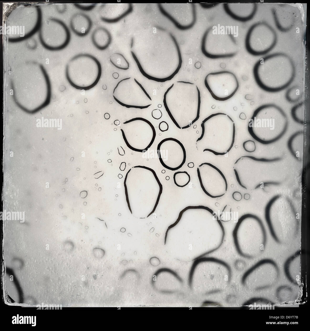 Close up di goccioline di acqua sul vetro Foto Stock