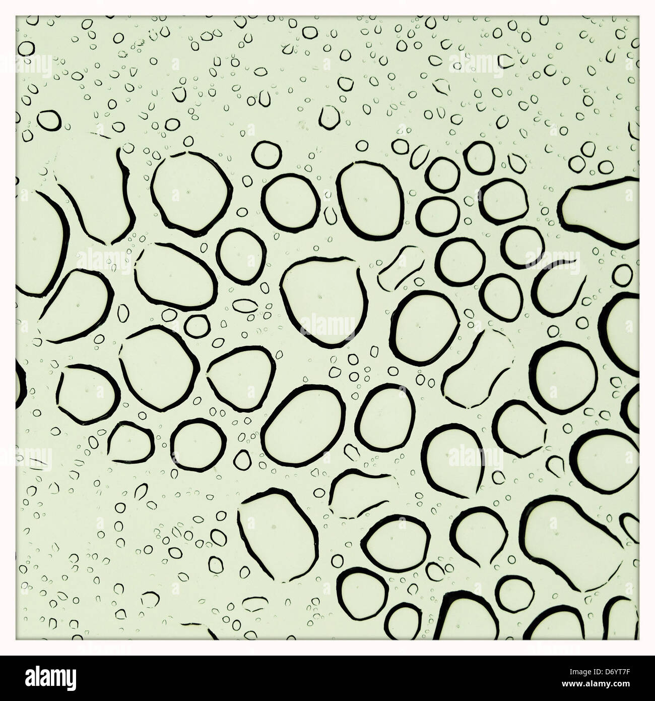 Close up di goccioline di acqua sul vetro - Immagine stock catturata con smartphone