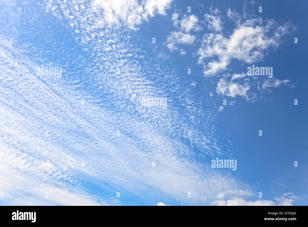 Nuvole di luce di vari tipi sullo sfondo di un cielo blu - Sfondo. Foto Stock