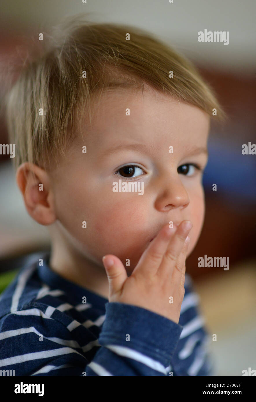 Ritratto di un giovane ragazzo di età compresa tra i diciotto mesi di età, con capelli castani indossando un blu e bianco spogliato top. Foto Stock