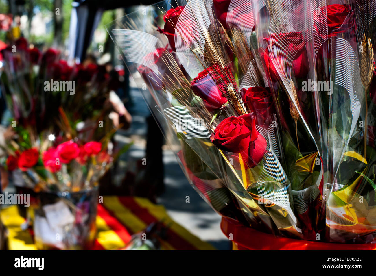 Rose rosse a Sant Jordi festival, ( San Giorgio al giorno ) in Passeig de Gracia Street. Barcellona. La Catalogna. Spagna. Foto Stock