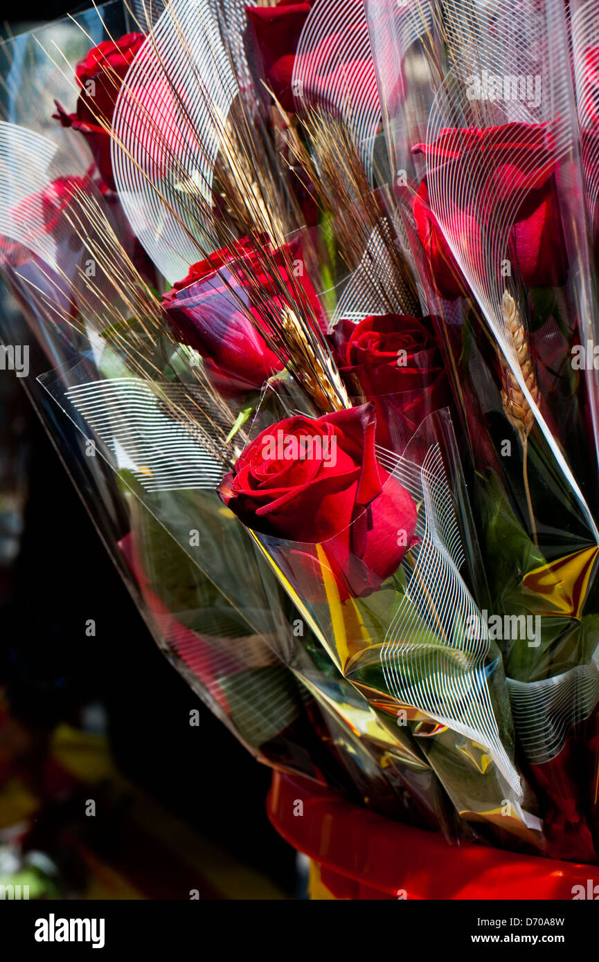 Rose rosse a Sant Jordi festival, ( San Giorgio al giorno ) in Passeig de Gracia Street. Barcellona. La Catalogna. Spagna. Foto Stock