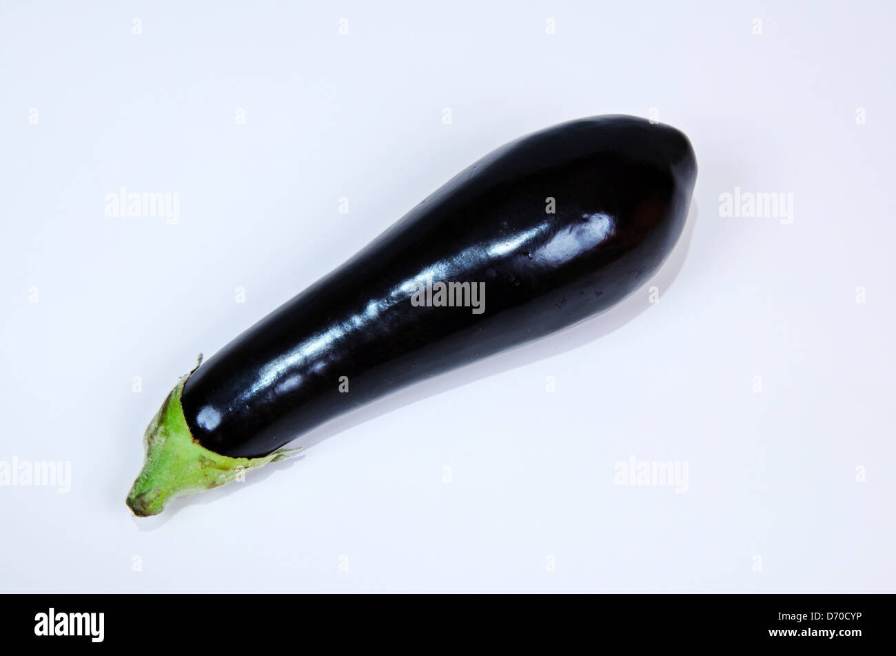 Tutto Augerbine (impianto uovo) contro uno sfondo semplice. Foto Stock