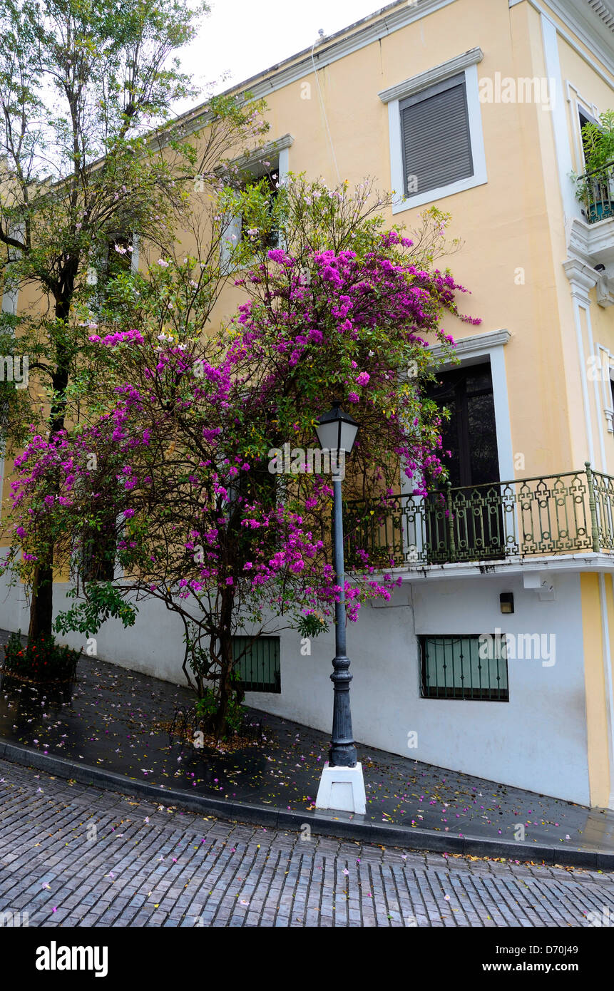 Edificio colorato e lampada posta su di una collina nella vecchia San Juan, Puerto Rico Foto Stock