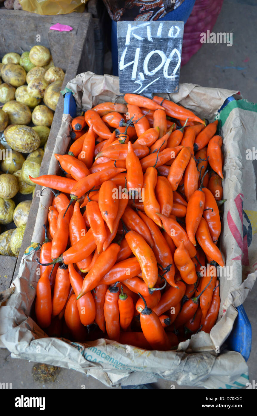 Orange Rocotto peperoncino in vendita a Iquitos, Amazzonia peruviana Foto Stock