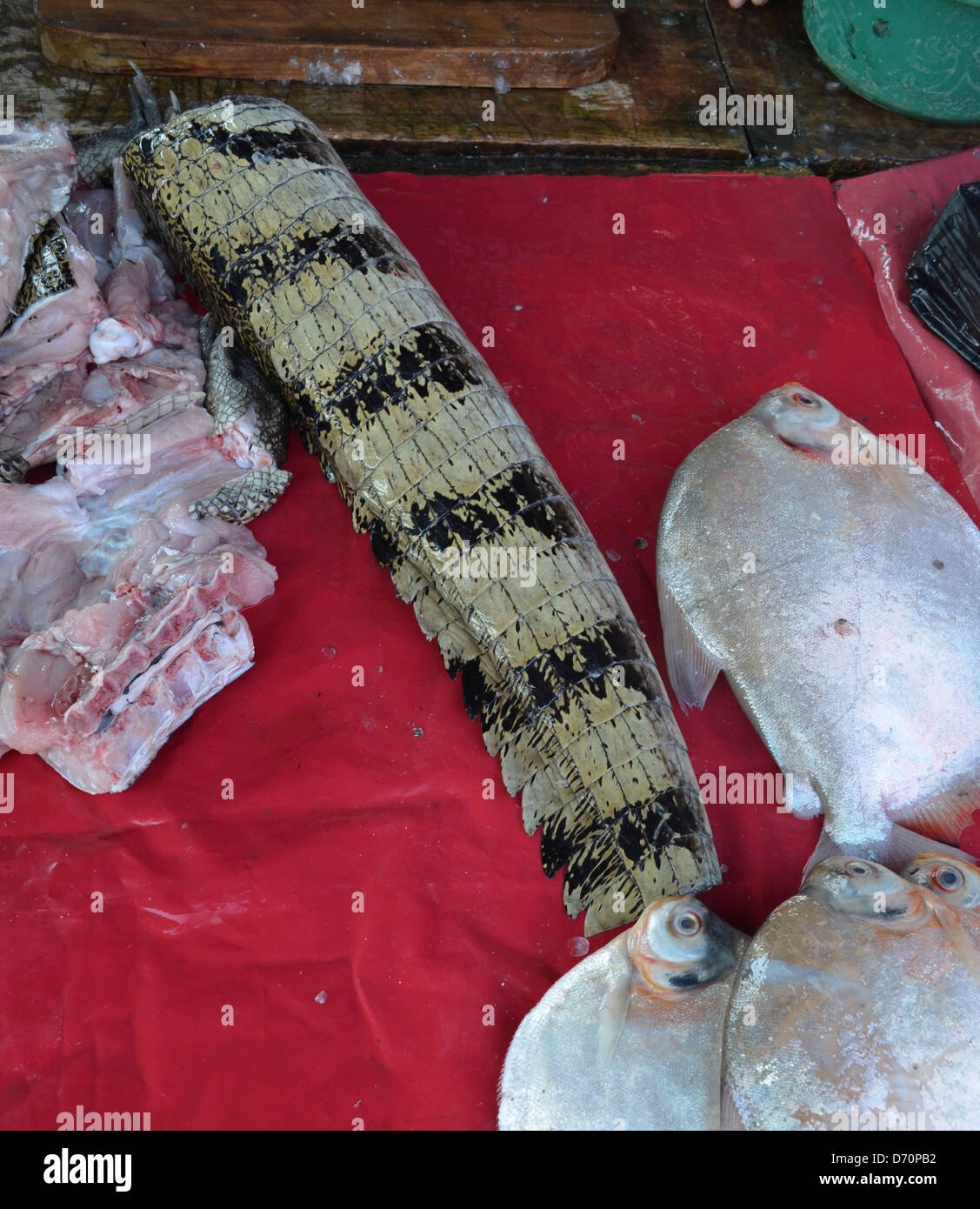 Il coccodrillo o code Cayman per la vendita su un mercato di macellai a Iquitos, Amazzonia peruviana Foto Stock