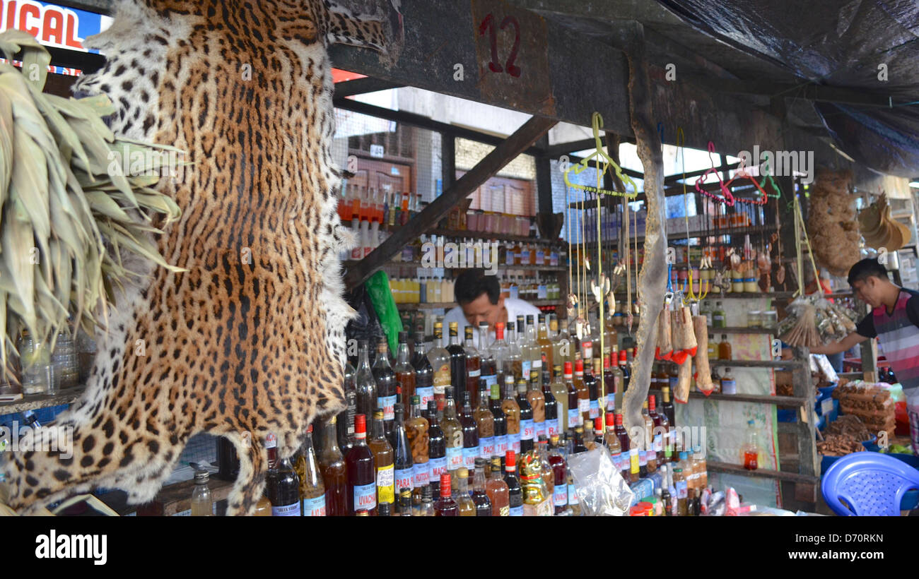 Un Gattopardo pelle per la vendita in un mercato di Iquitos, Perù Foto Stock