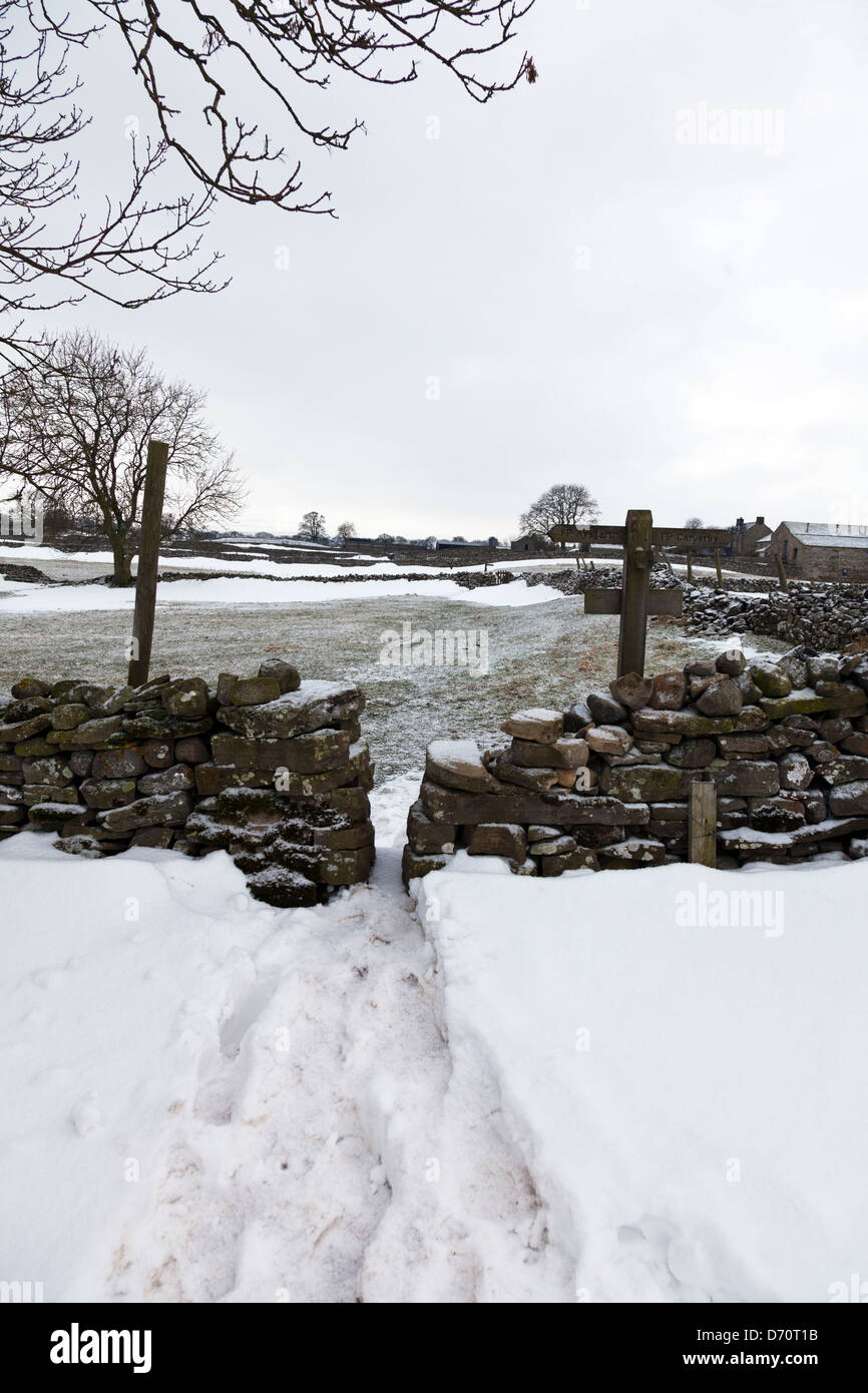 Yorkshire Dales nella neve iconico muri in pietra e montanti Foto Stock