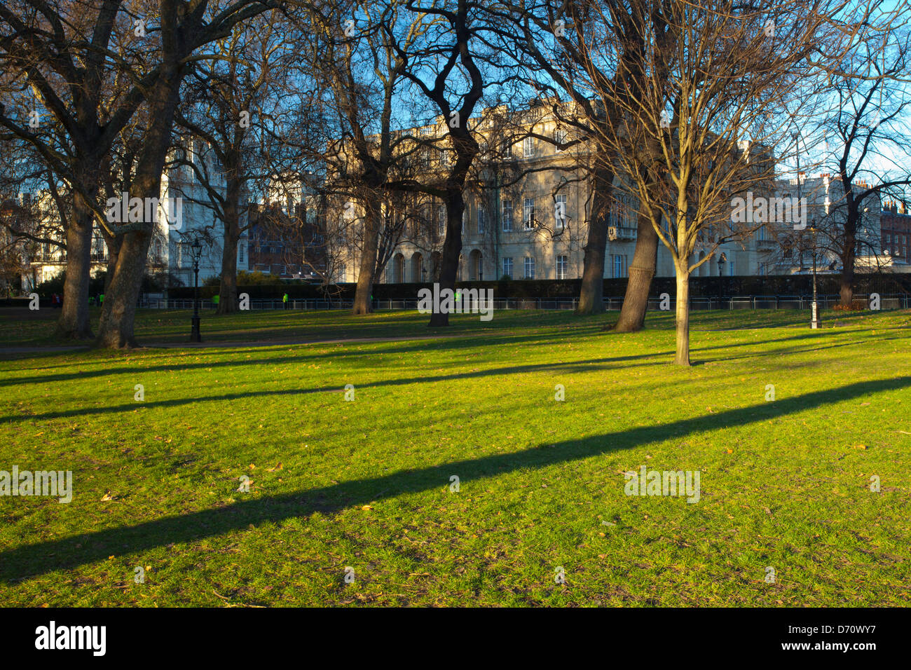 Inghilterra, Londra, Green Park. Nel tardo pomeriggio si illumina di luce verde parco durante i mesi primaverili. Foto Stock