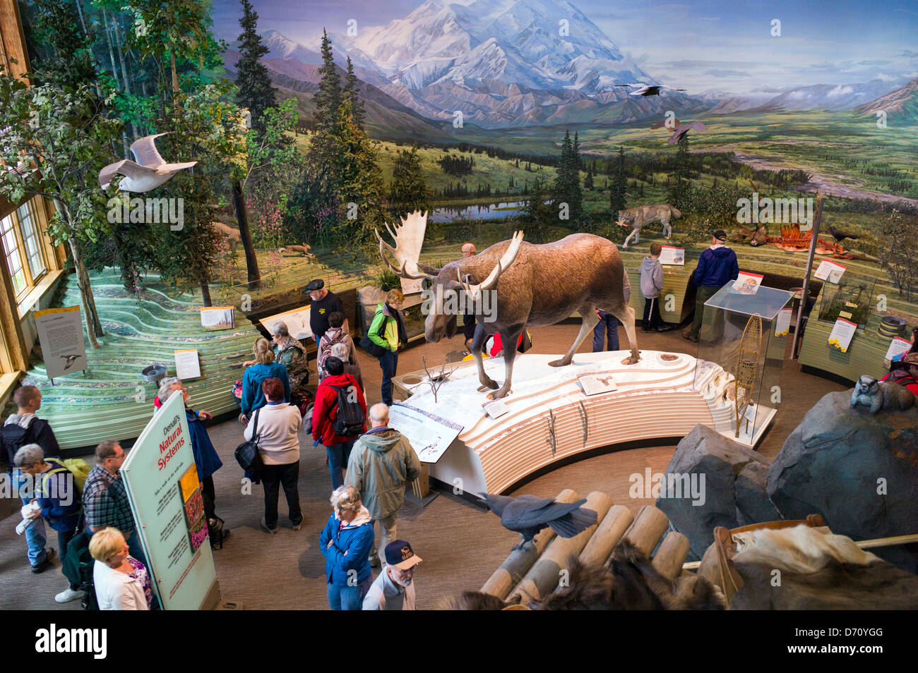 I turisti che visitano il Parco Nazionale di Denali Centro Visitatori, Parco Nazionale di Denali, Alaska, STATI UNITI D'AMERICA Foto Stock