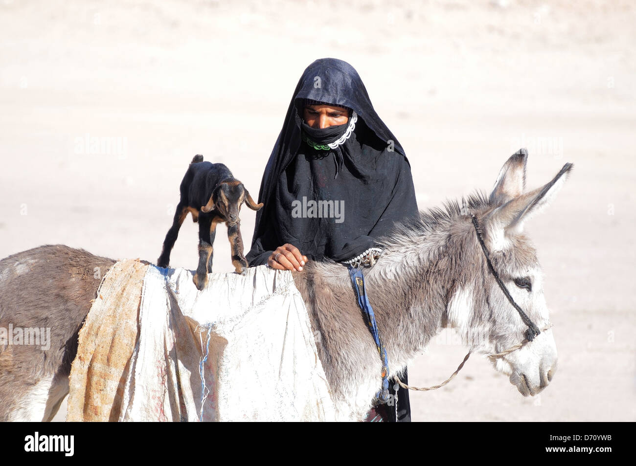 Donna Beduina con un asino, Hurghada, Egitto, Africa Foto Stock