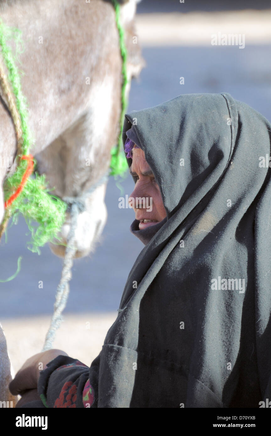Donna Beduina con un asino, Hurghada, Egitto, Africa Foto Stock