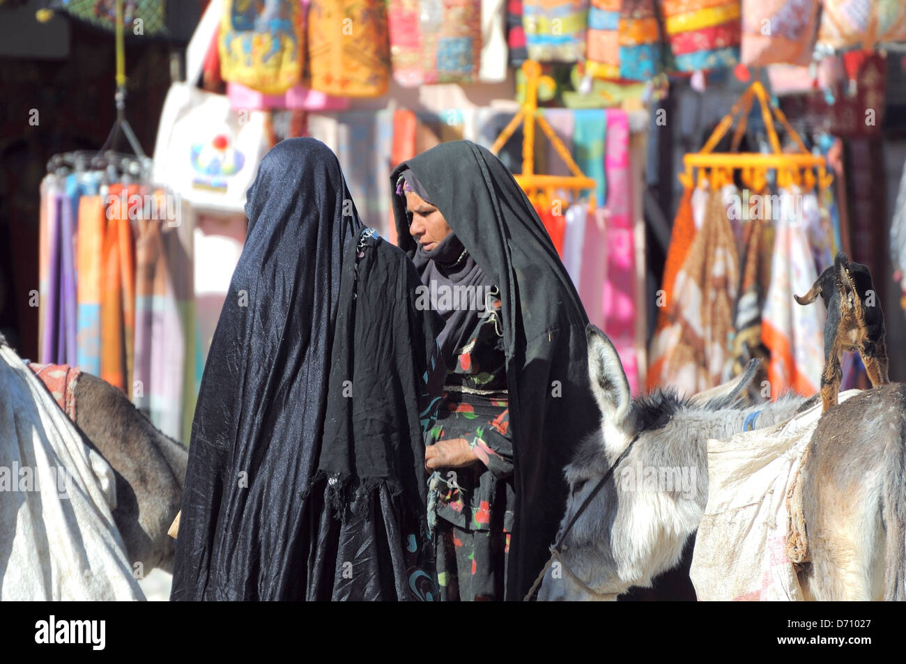 Due donna beduino nel vecchio mercato, Hurghada, Egitto, Africa Foto Stock