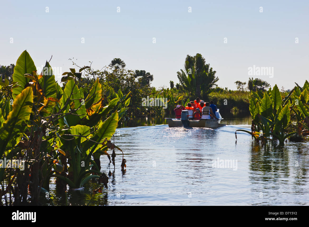 La barca turistica sul fiume, Fort Dauphin, Madagascar Foto Stock