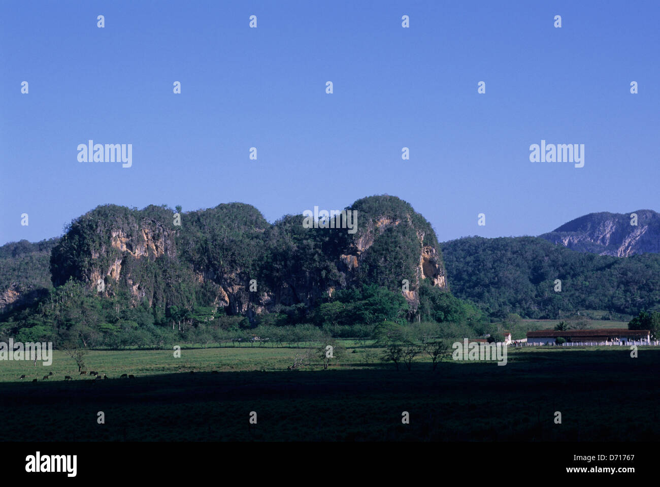 Cuba, Vinales Valley, montagne calcaree, Ranch Foto Stock