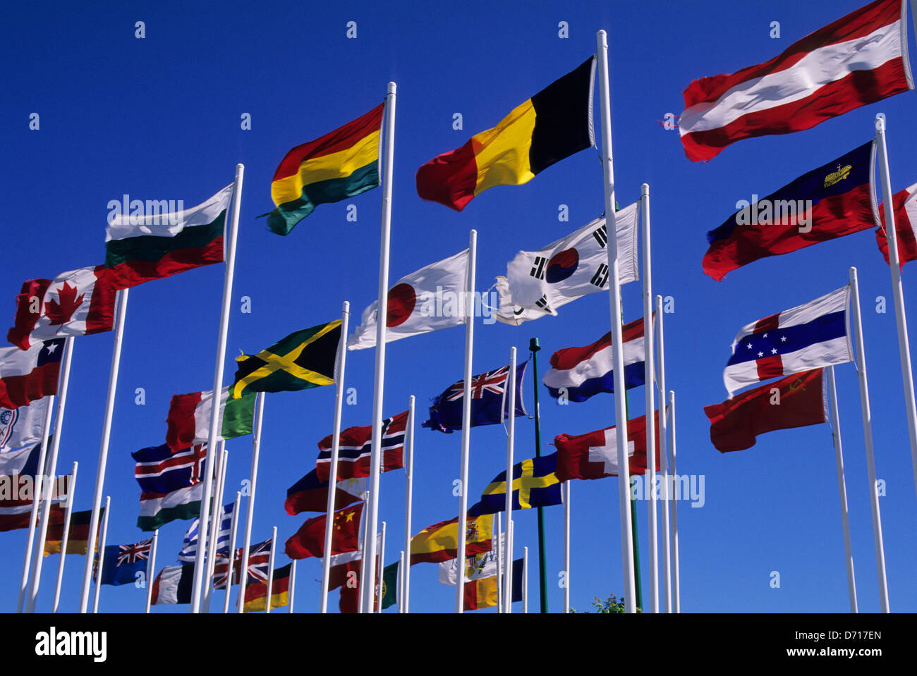 Canada, Alberta, Calgary, Canada Olympic Park, bandiere internazionali Foto Stock