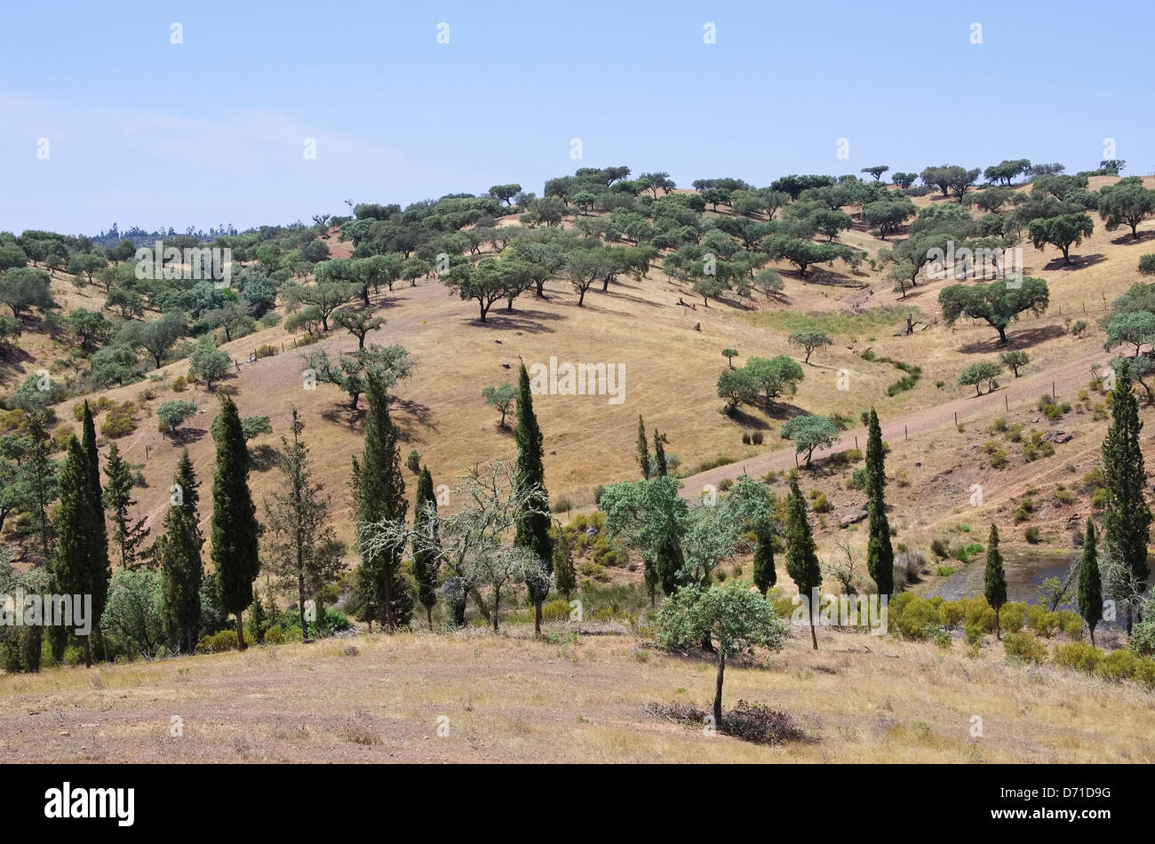 Dehesa 48 Foto Stock