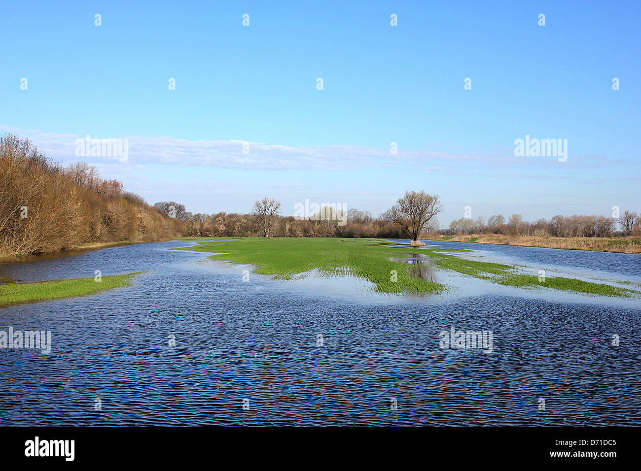 Riverside acque interne dopo le piogge in primavera, Fiume Galga, Tura, Ungheria, Europa Foto Stock