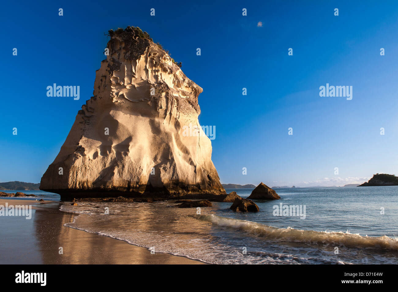 La mattina presto e la luce colpisce il naturale di roccia calcarea pila noto come Te Hoho Rock, Cove della cattedrale, Penisola di Coromandel. Nuova Zelanda Foto Stock