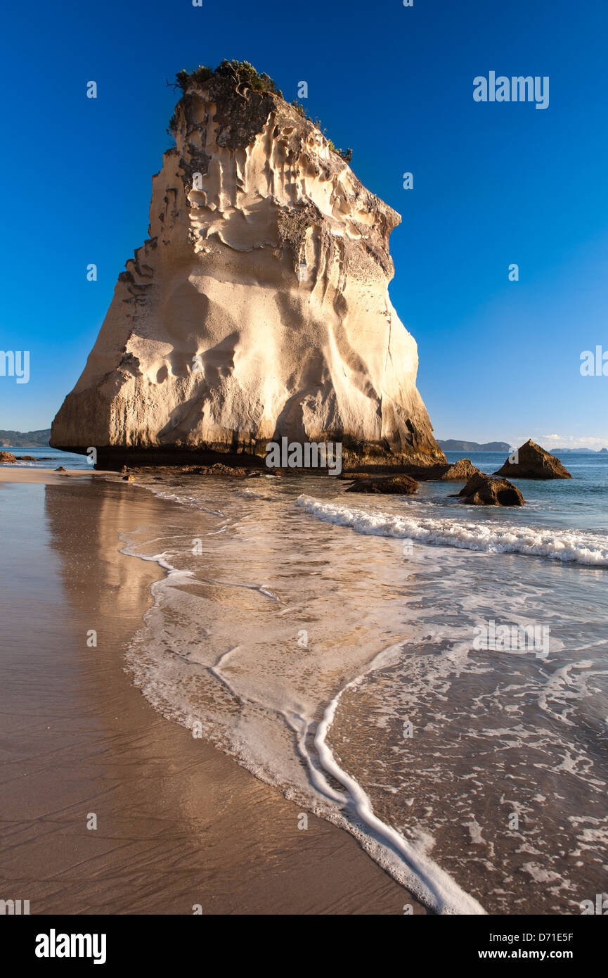 La mattina presto e la luce colpisce il naturale di roccia calcarea pila noto come Te Hoho Rock, Cove della cattedrale, Penisola di Coromandel. Nuova Zelanda Foto Stock