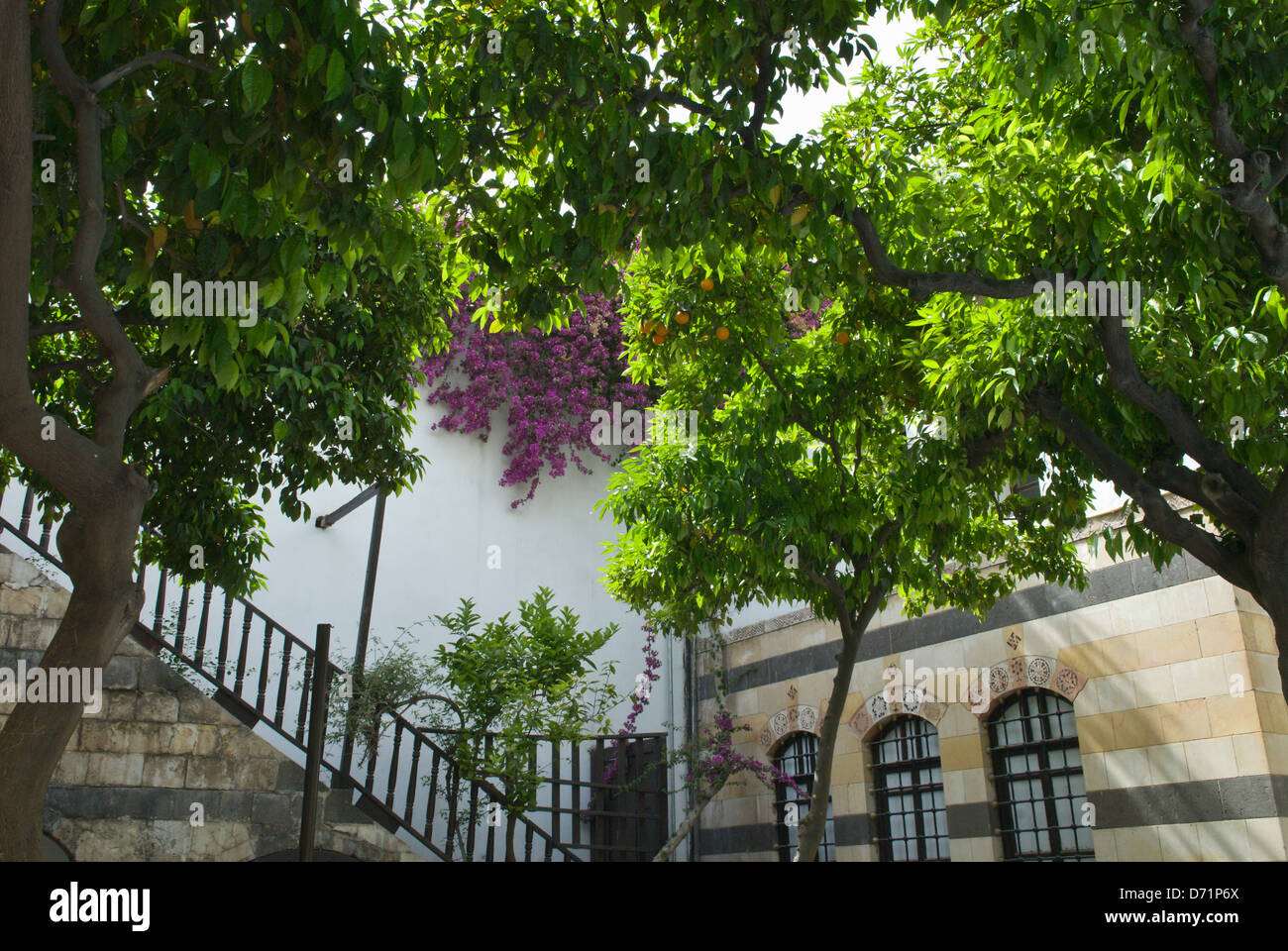 Damasco, Siria. Alberi di arancio nel Azem Palace (Bait Al-'Azem), ora il museo di arti popolari e tradizione. Foto Stock