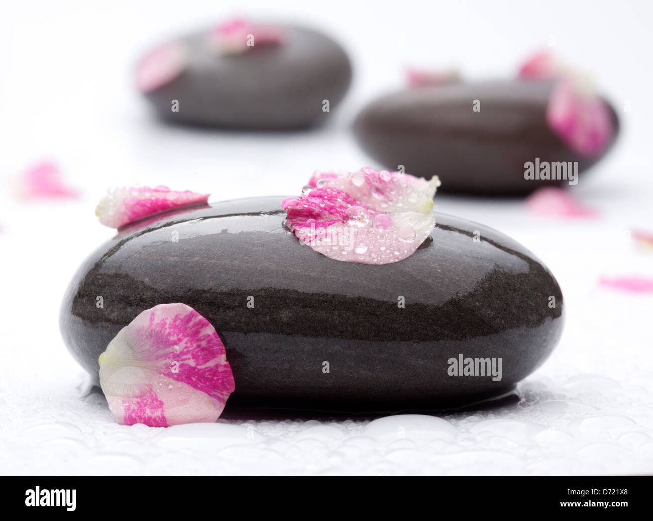 Spa pietre con petali di rosa su sfondo bianco. Foto Stock