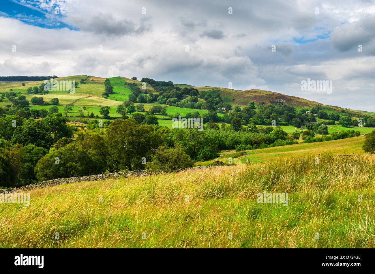 Lake District paesaggio vicino Dockray, Cumbria, Inghilterra. Foto Stock