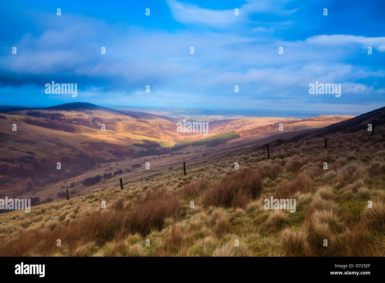 Inghilterra, Northumberland, Northumberland National Park. Guardando in giù verso la valle Harthope, durante una tempesta di pioggia, dal superiore pendici dell'Che Foto Stock