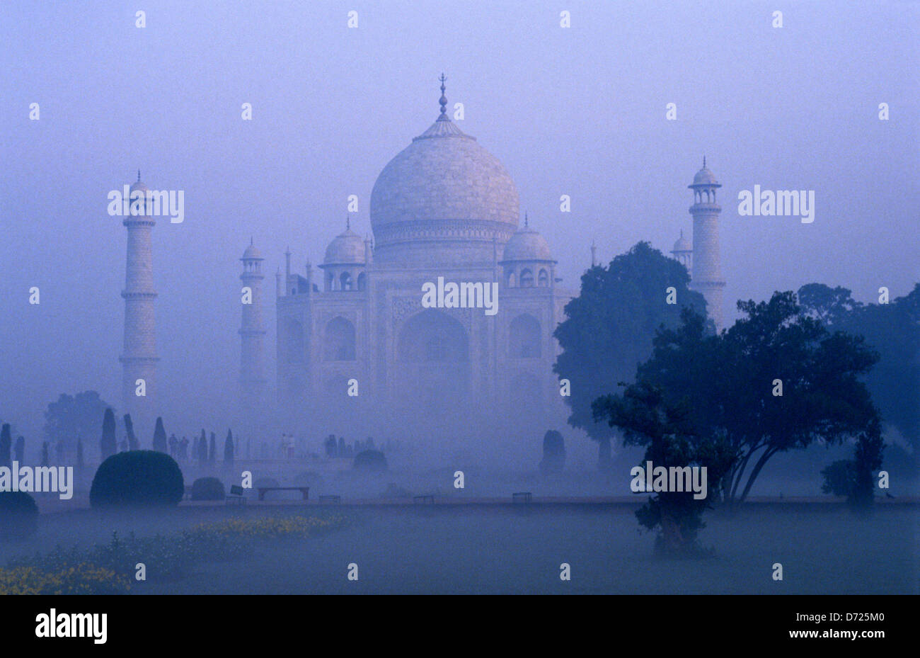 Taj Mahal mausoleo.Agra. Uttar Pradesh.India. Foto Stock