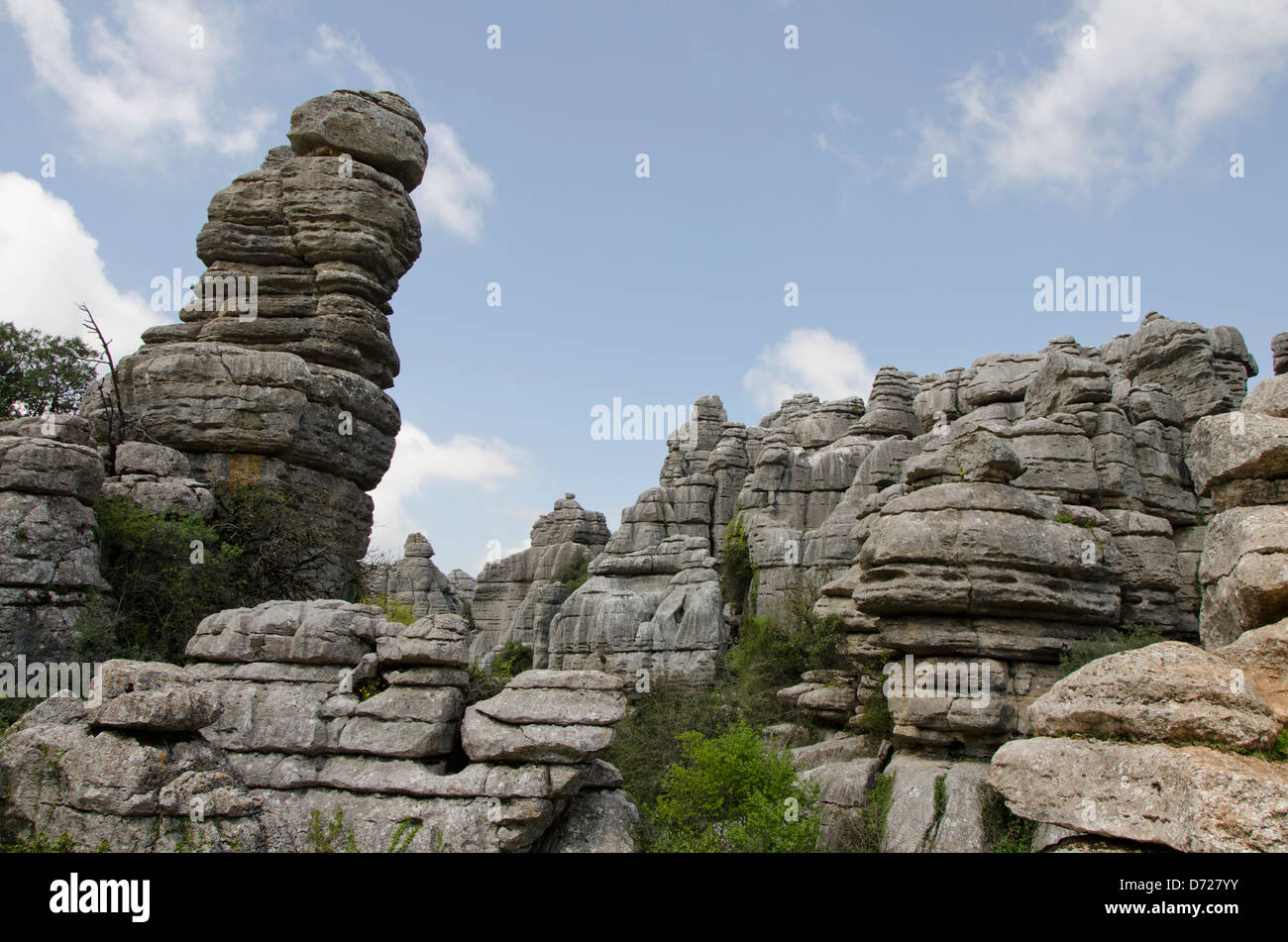 El Torcal de Antequera , riserva naturale della montagna carsica, con caratteristiche formazioni calcaree, provincia di Malaga, Andalusia, Spagna Foto Stock