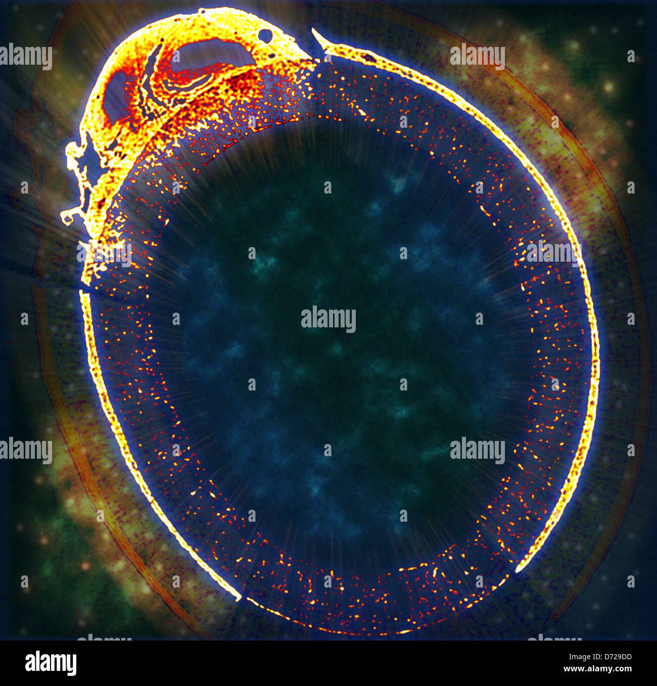 La ricerca presso ANL e PNNL indaga la chimica microbica, concentrandosi sulla formazione di biofilm e sui processi microbici utilizzando tecniche di imaging avanzate come la microtomografia a raggi X. Questo lavoro approfondisce la comprensione dell'attività microbica e delle sue applicazioni nei processi ambientali e industriali. Foto Stock