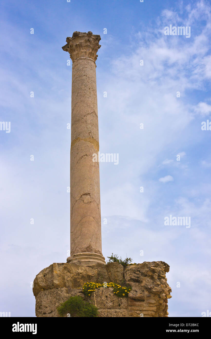 Colonna di bagno termale, le rovine romane di Cartagine, sito Patrimonio Mondiale dell'UNESCO, Tunisi, Tunisia Foto Stock