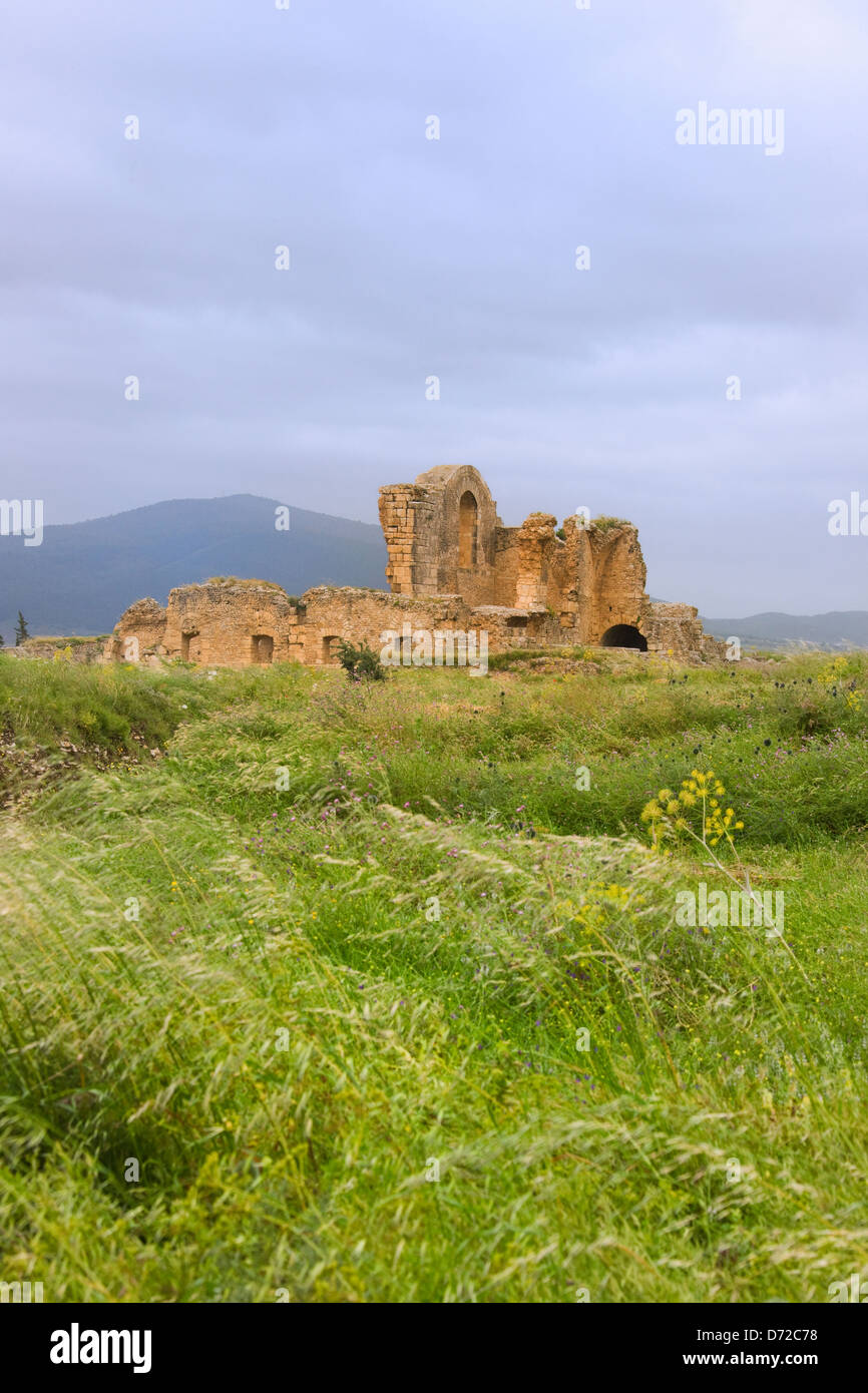 Le rovine romane in montagna Kroumirie, Bulla Regia, Tunisia Foto Stock