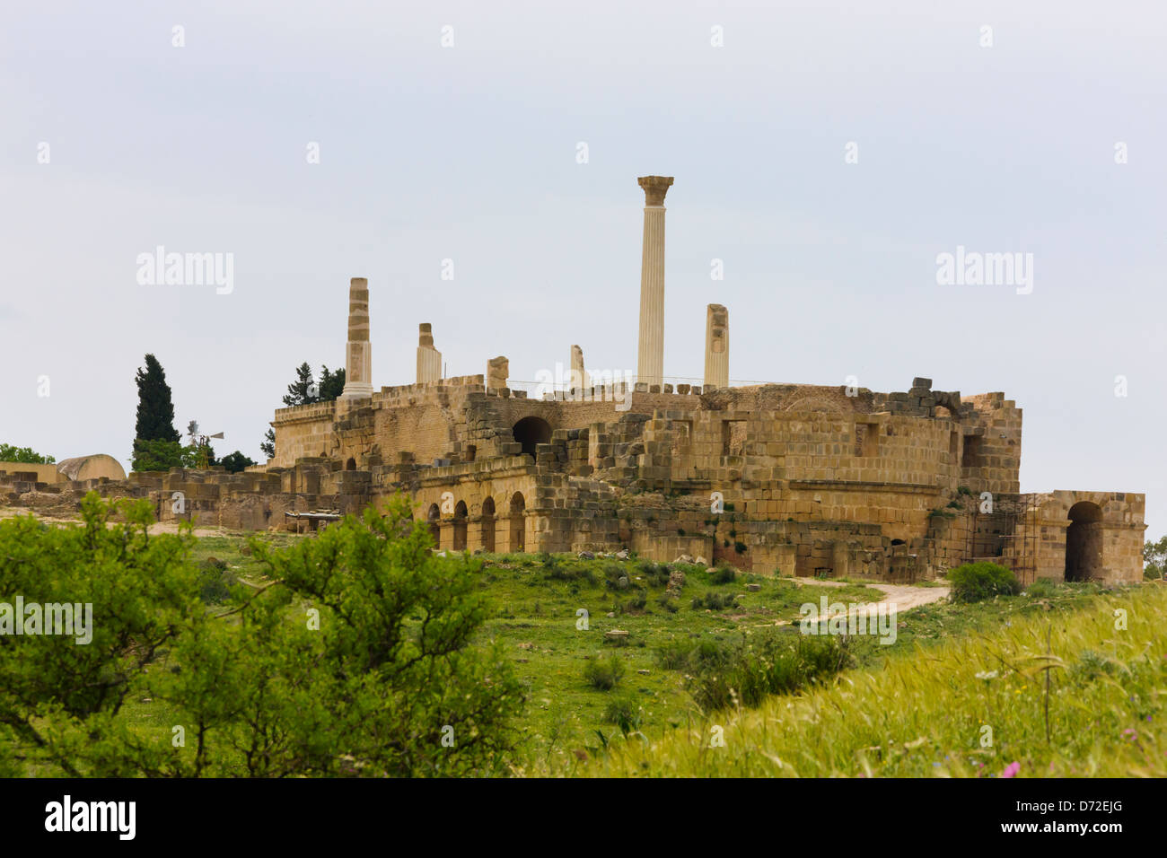 Le rovine romane di anfiteatro a Uthina, Tunisia Foto Stock