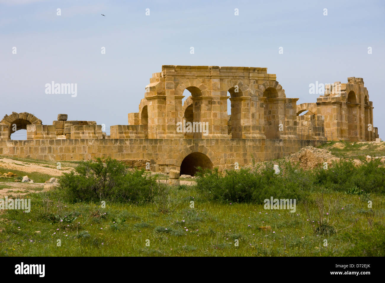 Rovine romane di Uthina, Tunisia Foto Stock